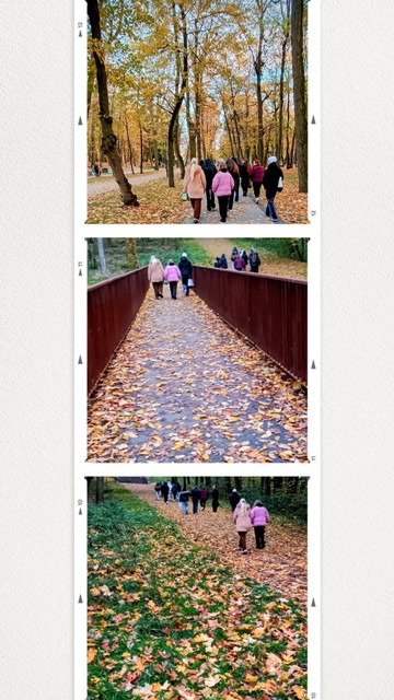 20251025_193948-COLLAGE