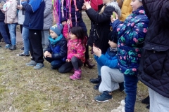 IMG_20190321_160540