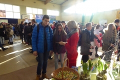 P1000741