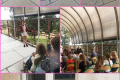 20260708_181311-COLLAGE