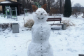 IMG_20240114_155116